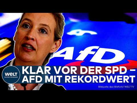 AFD: Rekordwert in Brandenburg! SPD mit Woidke weit zurück – Große Unzufriedenheit mit Koalition