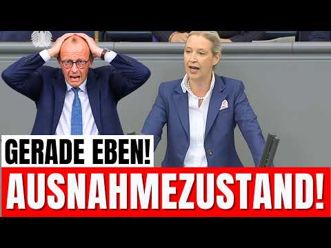 AfD Wähler haben Gewonnen! Vertrauensfrage wurde gestellt – Merz unter 15%