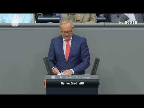 Alles fürs Ausland: KINDERGELD OHNE ANTRAG? AfD warnt vor Missbrauch und hohen Kosten