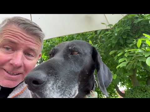 ARD & ZDF wirklich irre. 🇩🇪 soll keine Freunde haben. 🏴󠁧󠁢󠁳󠁣󠁴󠁿🇦🇺🇺🇸 zeigen wie es geht. ❤️ Waldi 🙏