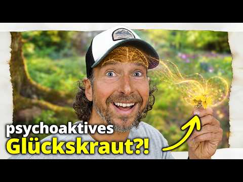 Besser als Cannabis? Diese Heilpflanze macht dich glücklich! Besser als Cannabis? Diese Heilpflanze macht dich glücklich!