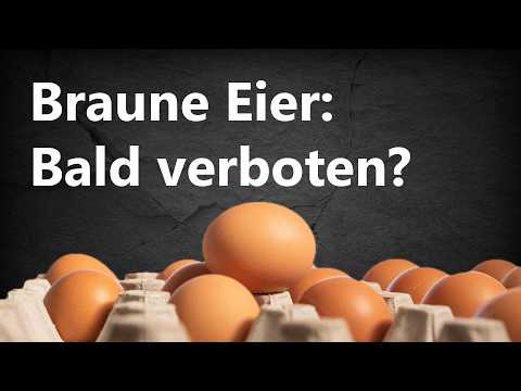 Darum sind braune Eier so gefährlich! – Die Sächsische Wochenschau