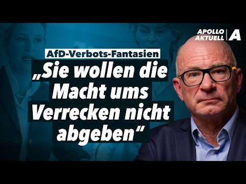 „Das ist abgrundtief undemokratisch“ – Volker Boehme-Neßler im Interview
