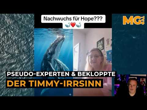 Der Irrsinn rund um TIMMY | Betreutes Gucken #364 Der Irrsinn rund um TIMMY | Betreutes Gucken #364