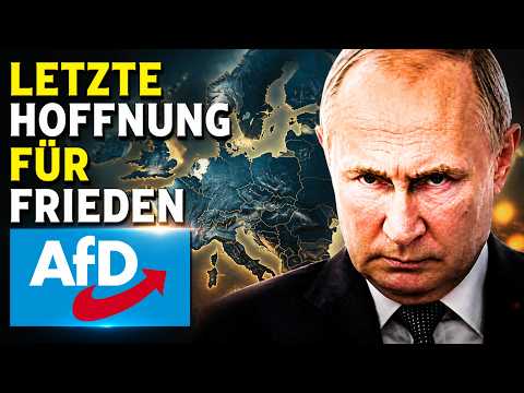 Deutschland am Abgrund: Ist die AfD der letzte Ausweg?