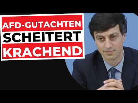 EIL: Gutachter zerlegt sich live selbst! | AfD-Verbot Gutachten & AfD-Gutachten Analyse