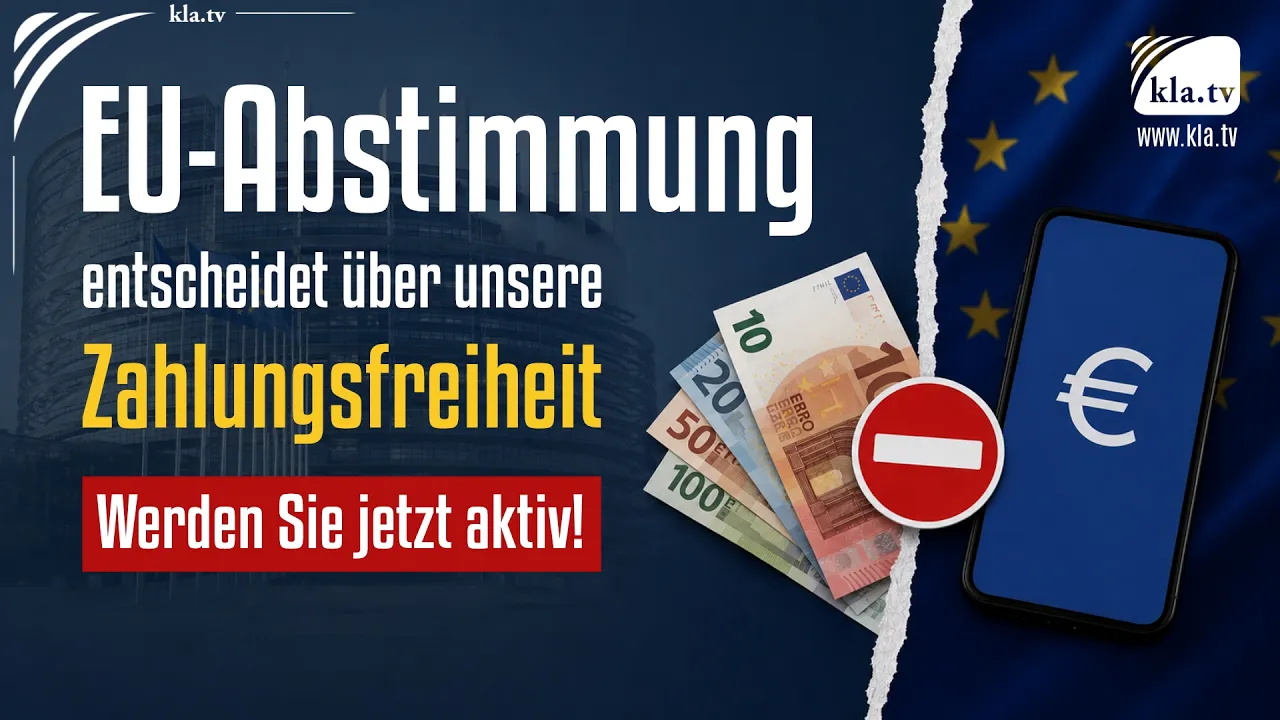 EU-Abstimmung entscheidet über unsere Zahlungsfreiheit