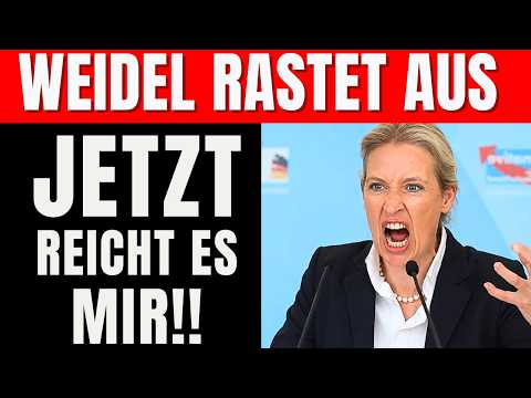 💥 ALICE WEIDEL DECKT AUF Wovon Merz Albträume bekommt !