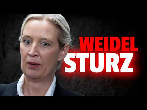 💥EKLAT in AfD: Putsch gegen Weidel geplant! 💥EKLAT in AfD: Putsch gegen Weidel geplant!