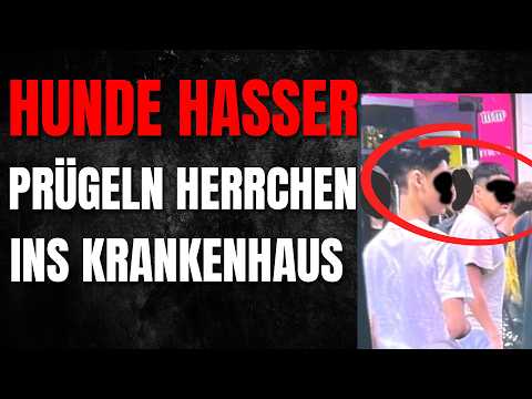 💥Täterherkunft SPIELT KEINE ROLLE: “Jugendlich” greifen Hund und Herrchen an! 💥Täterherkunft SPIELT KEINE ROLLE: “Jugendlich” greifen Hund und Herrchen an!