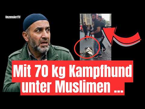 🫨 DAS passiert, wenn eine Frau mit Kampfhund auf Muslime in deutscher Innenstadt trifft … 🫨 🫨 DAS passiert, wenn eine Frau mit Kampfhund auf Muslime in deutscher Innenstadt trifft … 🫨