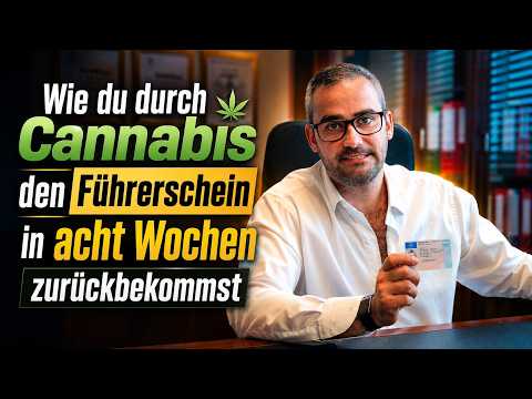 Führerschein weg wegen Cannabis? So bekommst du ihn schnell zurück Führerschein weg wegen Cannabis? So bekommst du ihn schnell zurück