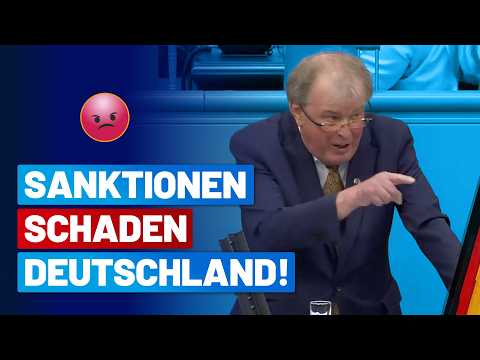 Gespräche statt Sanktionen! – Udo Theodor Hemmelgarn – AfD-Fraktion im Deutschen Bundestag