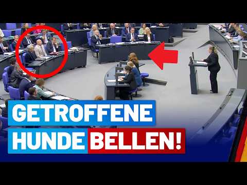 Gesundheitsreform: Nicole Hess gerät mit CSU-Mann aneinander!  – AfD-Fraktion im Deutschen Bundestag