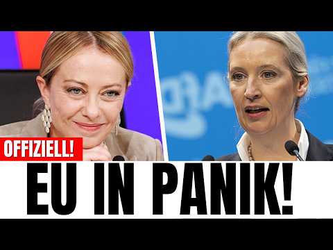 Giorgia Meloni macht SCHLUSS MIT MERZ und steht hinter AfD Giorgia Meloni macht SCHLUSS MIT MERZ und steht hinter AfD