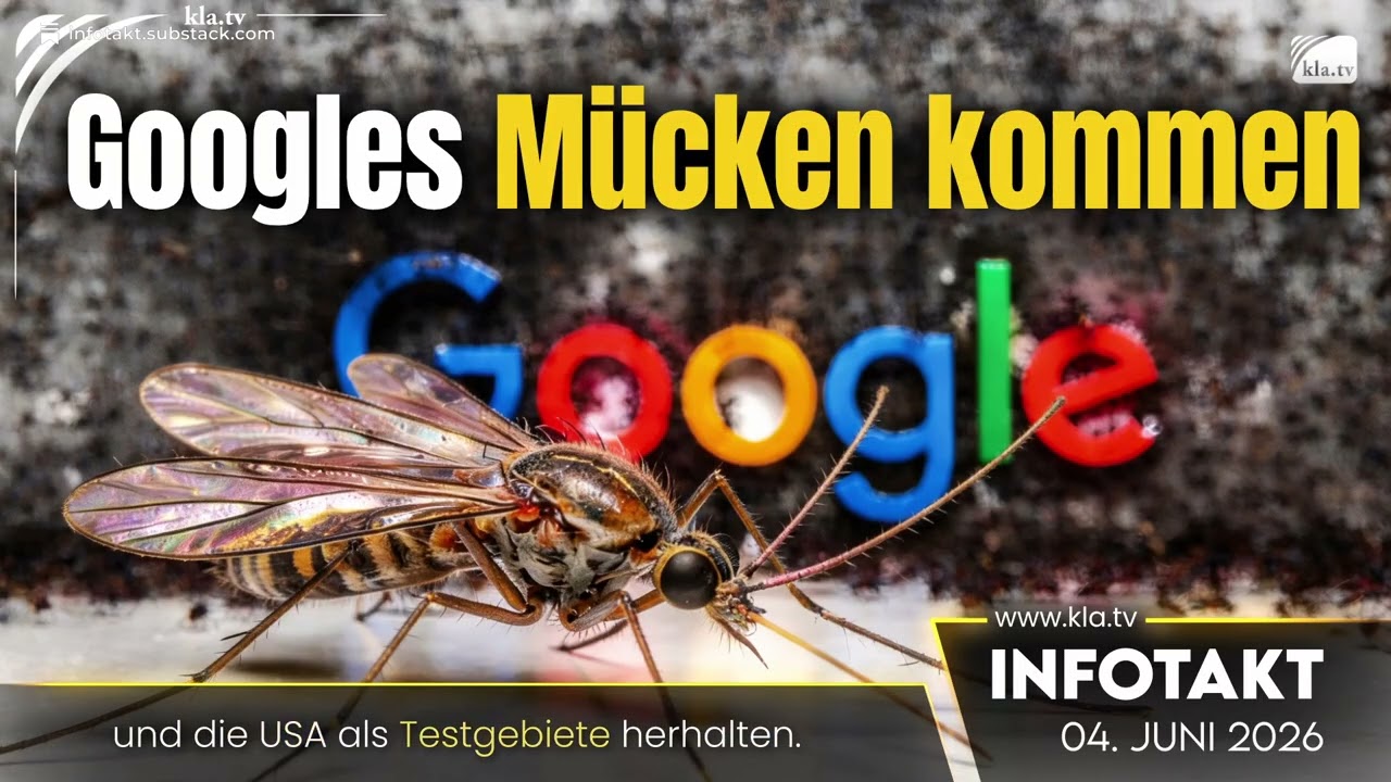 Googles Mücken kommen