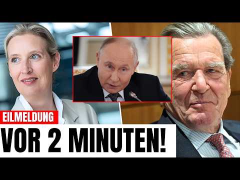 HISTORISCH! Gerhard Schröder und Alice Weidel Arbeiten Jetzt gegen Merz zusammen