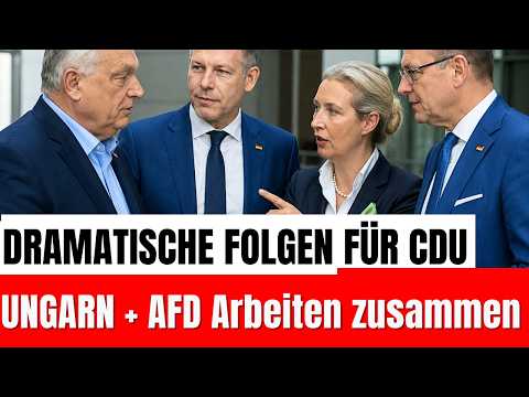 HISTORISCH: Magyar nennt AfD die Zukunft Deutschlands und fordert Ende der Brandmauer HISTORISCH: Magyar nennt AfD die Zukunft Deutschlands und fordert Ende der Brandmauer