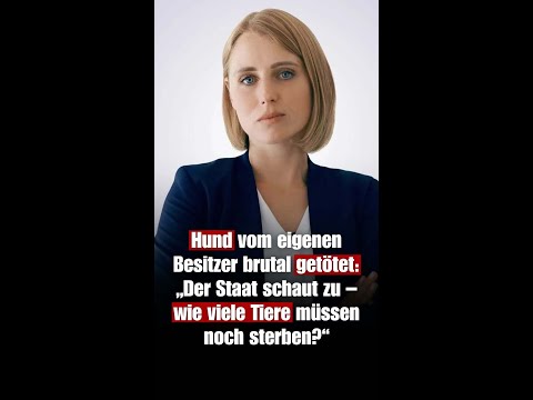 Hund vom eigenen Besitzer brutal getötet: Der Staat schaut zu – wie viele Tiere müssen noch sterben?