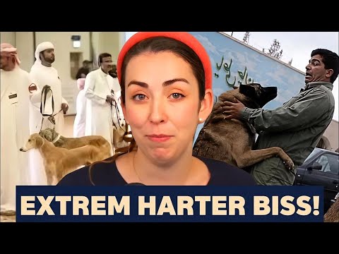 Islamisten erleben, was passiert, wenn sie Hunde schlagen! Islamisten erleben, was passiert, wenn sie Hunde schlagen!