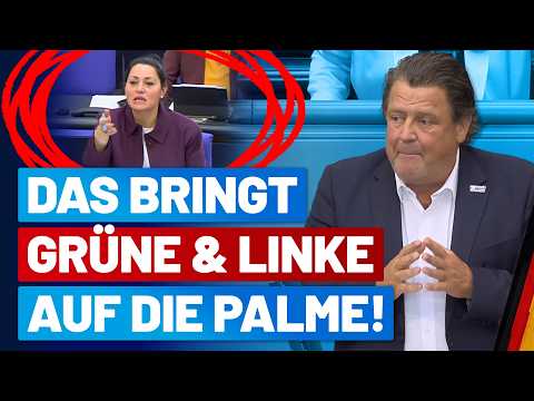 Lamya Kaddor rastet aus: Stephan Brandner quält sich für uns durch Forderungen der Alphabet-Mafia!