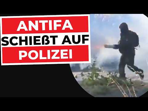 Linker Terror, du zahlst! NGO steckt GENF in BRAND! | Innere Sicherheit