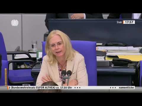 LÜGENKANZLER? Brandner fordert HAMMER-REFORM! §188 abschaffen – Gleiches Recht für alle! | AfD