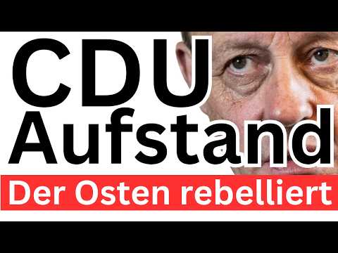 Merz Ost-Brandmauer Sprengung ❌ Merz Ost-Brandmauer Sprengung ❌