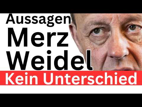 Merz redet wie Weidel ❌ Vergleich ❌