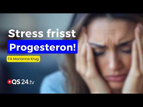 Moderne Hormonsabotage: Wie Dauerstress unser Hormonsystem aus dem Gleichgewicht bringt | QS24