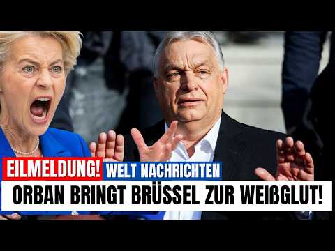 ORBANS RACHE trifft Brüssel frontal, dieser Sieg verändert Europa KOMPLETT ORBANS RACHE trifft Brüssel frontal, dieser Sieg verändert Europa KOMPLETT