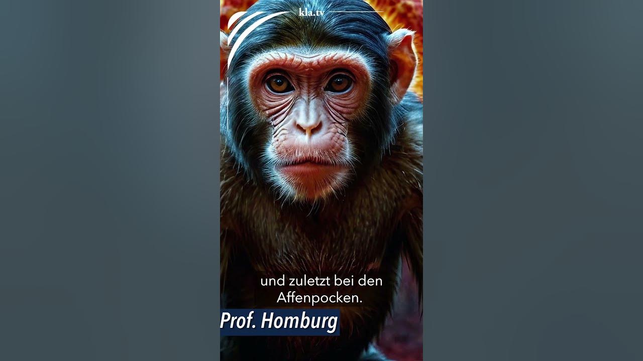 Prof. Homburg: Ob Corona, Krieg oder Klima – immer denselben Akteuren
