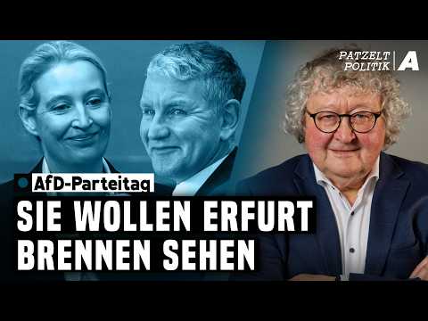 Protest gegen AfD-Parteitag: „Sie delegitimieren die Demokratie“ – Patzelt Politik
