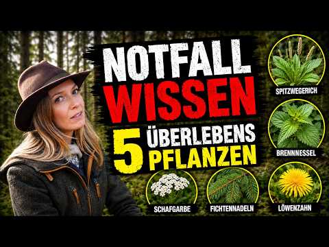 Survival-Wissen: Diese 5 Notfall Pflanzen MUSST du kennen!🌿