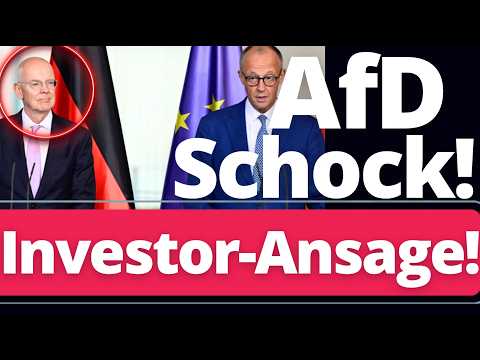 TOP Merz-Berater platzt der Kragen: „Die AfD ist nicht das Problem!“
