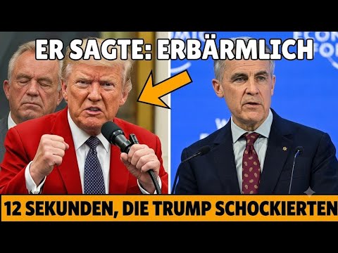 Trump nannte Kanada „erbärmlich“ – 12 Sekunden später wurde es still im Raum