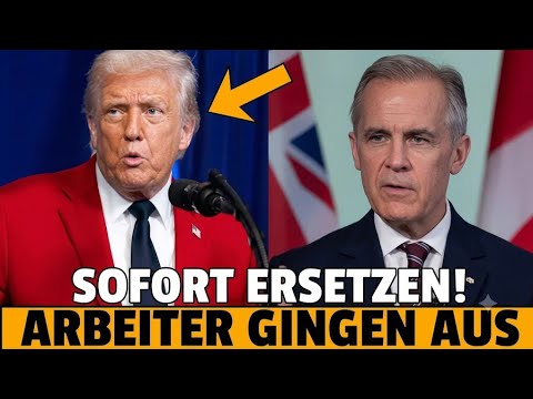 Trump nannte sie „ersetzbar“ – dann erkannte Amerika, dass niemand sie ersetzen konnte Trump nannte sie „ersetzbar“ – dann erkannte Amerika, dass niemand sie ersetzen konnte