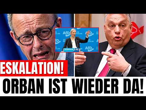 Victor Orban wieder an der macht – Afd Profitiert und Merz Rastet aus