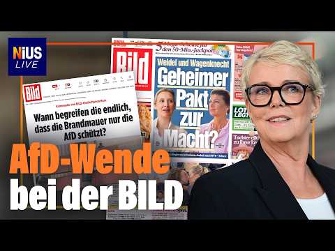 Warum die BILD plötzlich anders über die AfD berichtet | NIUS Live