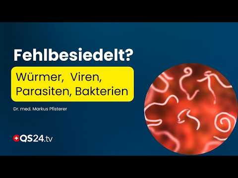 Würmer, Viren, Parasiten & Bakterien: Warum wir alle Fehlbesiedelungen unterschätzen | QS24