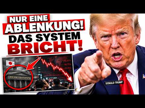 ALLE SCHAAEN AUF TRUMP: Aber hier bricht gerade das System zusammen!