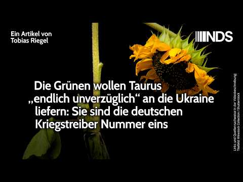 Die Grünen wollen Taurus „endlich unverzüglich“ liefern: Sie sind die Kriegstreiber Nummer eins. NDS