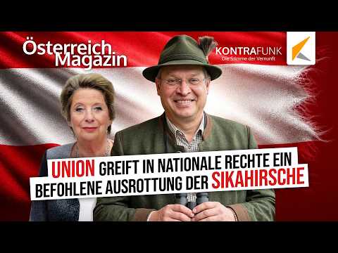 Klaus Wolff: Union greift in nationales Recht ein – angeordnete Ausrottung der Sikahirsche