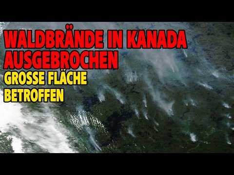 Waldbrände in Kanada ausgebrochen – Große Fläche betroffen Waldbrände in Kanada ausgebrochen – Große Fläche betroffen